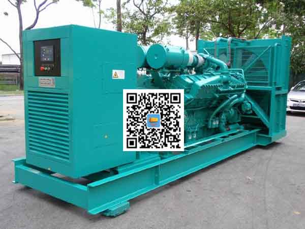 察隅租赁发电机-康明斯发电机性价比还是比较高的