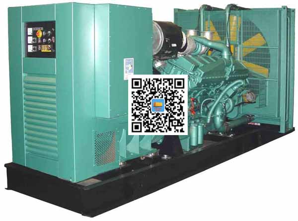 察隅笼型异步发电机的电力电子控制技术