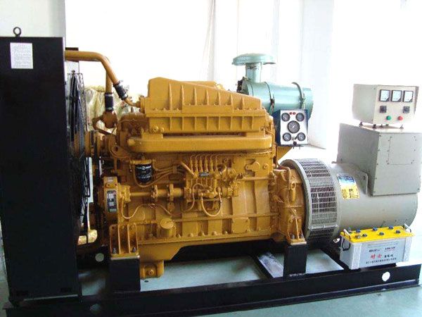 察隅有哪些有效的方法可以预防柴油发电机组的蓄电池出现硫化现象？